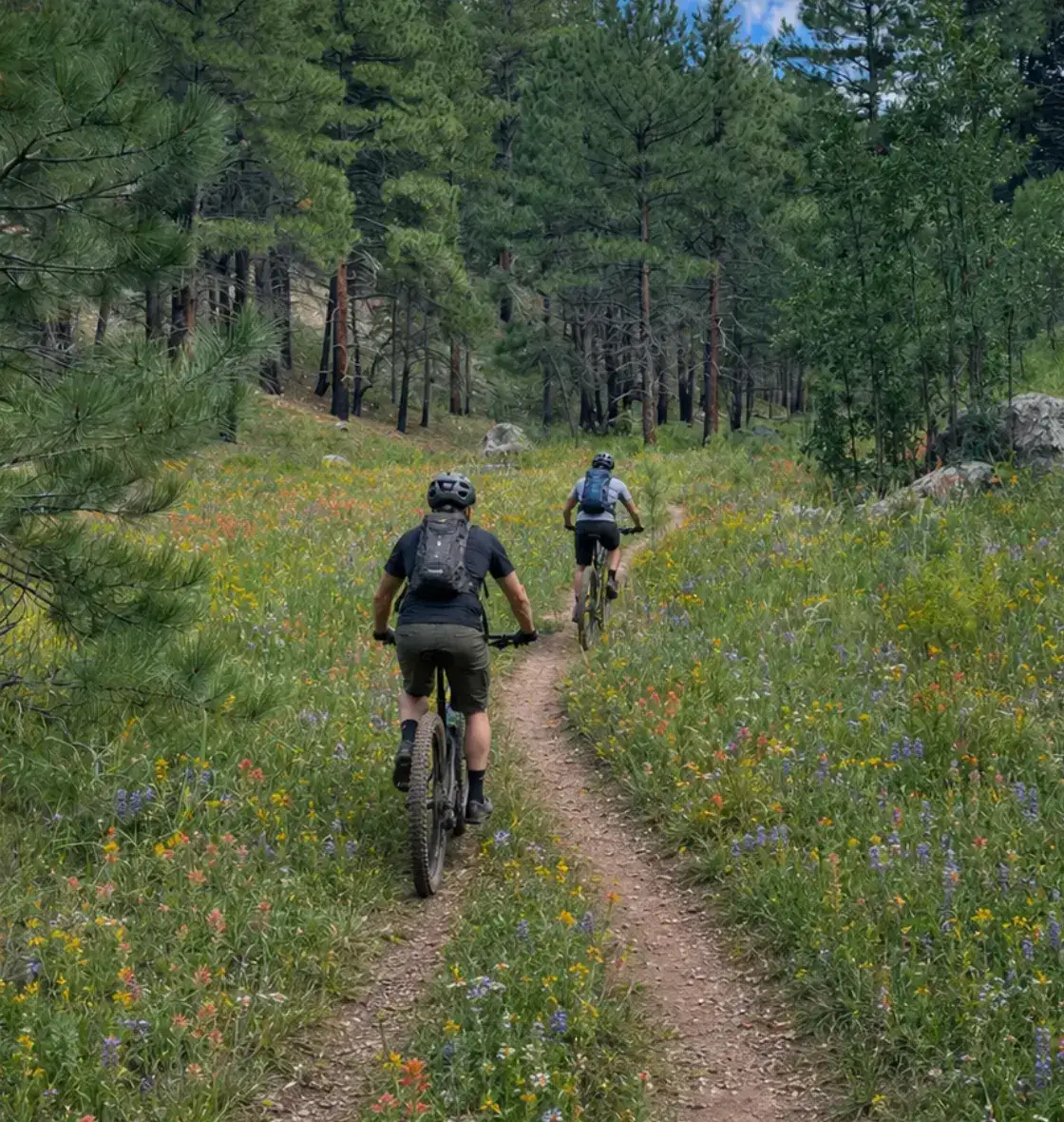 Private hiking and mountain-biking trails through the ponderosa pines at Forest Highlands in Flagstaff, Arizona